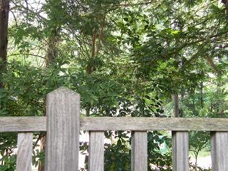 01053s.jpg 800x600 290KB 