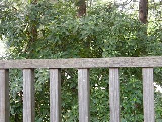 01055s.jpg 800x600 245KB 