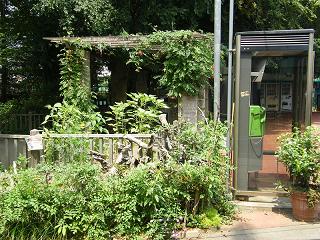 01056s.jpg 800x600 307KB 