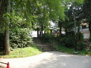 01057s.jpg 800x600 279KB 