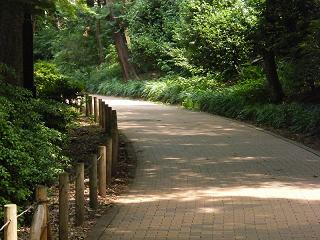 10008s.jpg 800x600 216KB 