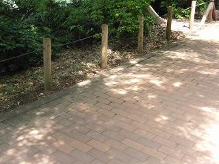 10011s.jpg 800x600 180KB 