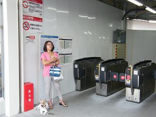 12059s.jpg 800x600 137KB 