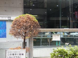 12119s.jpg 800x600 198KB 