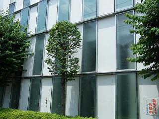 03006s.jpg 800x600 170KB 