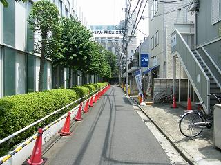 09006+s.jpg 800x600 243KB 