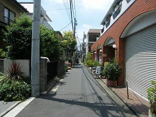 09006s.jpg 800x600 217KB 