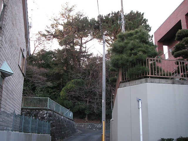 0105s.jpg