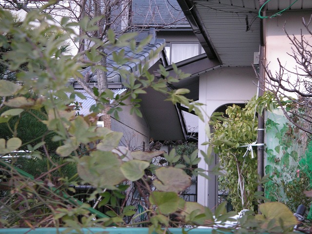 0904s.jpg