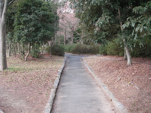 1032s.jpg