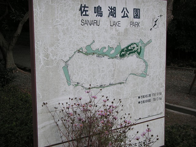 1035s.jpg