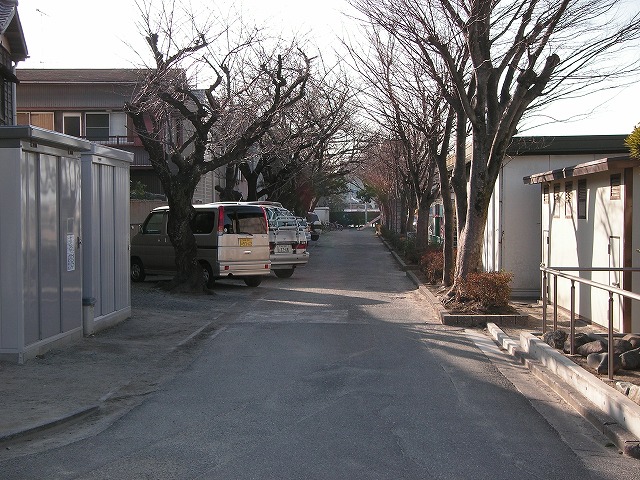 0238s.jpg