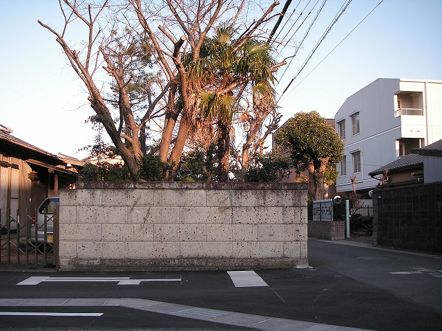 0609s.jpg