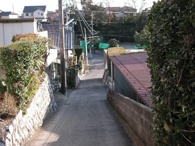 0647s.jpg