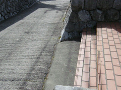 0209s_thumb.jpg
