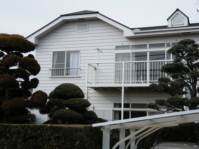 1213s.jpg