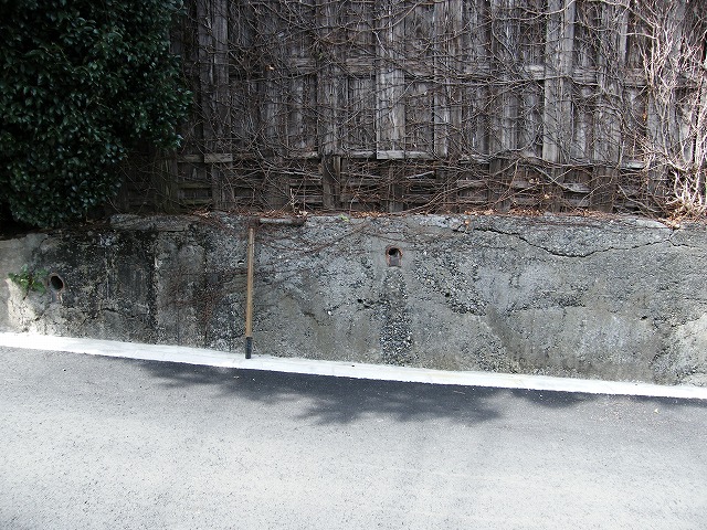 0214s.jpg