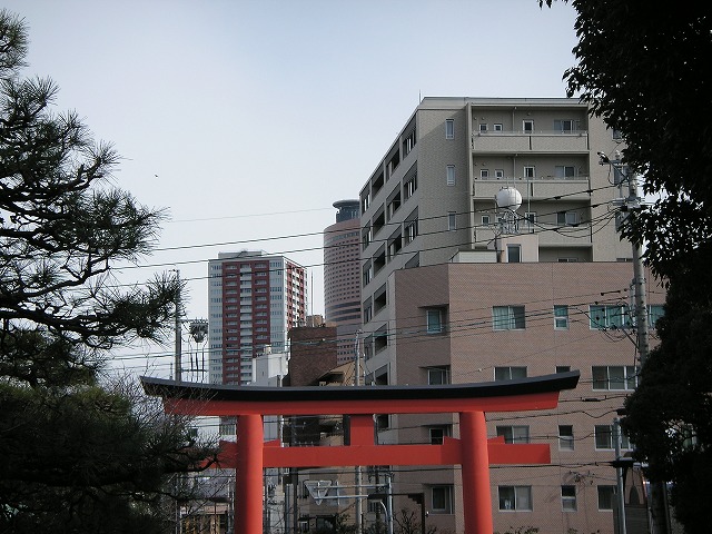 3115t.jpg