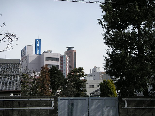 3119t.jpg