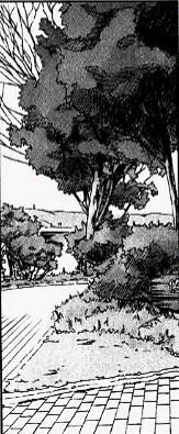 2123.jpg