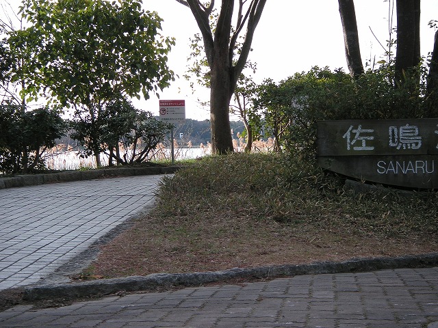 2123t.jpg