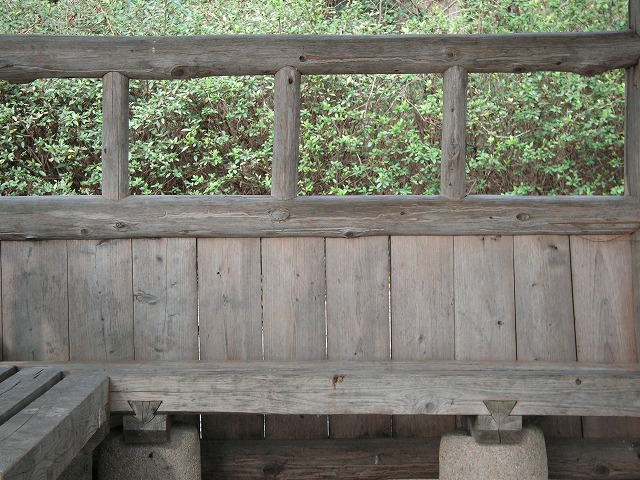21243t.jpg