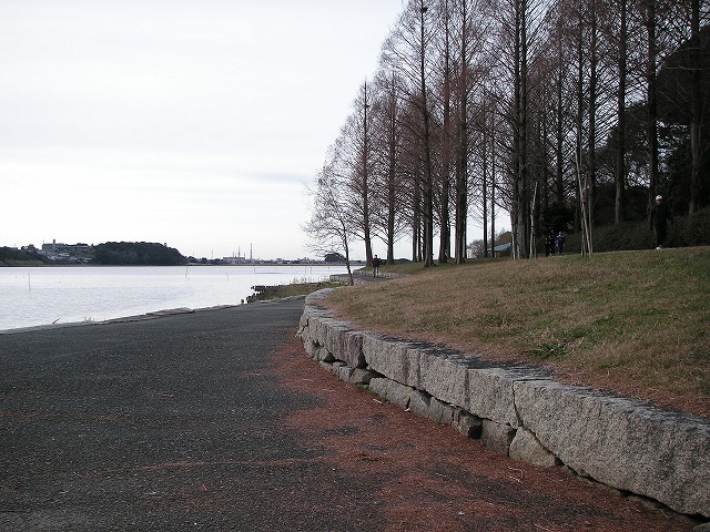 21301t.jpg