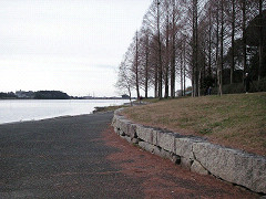 21301t_thumb.jpg