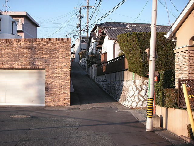 40452t.jpg