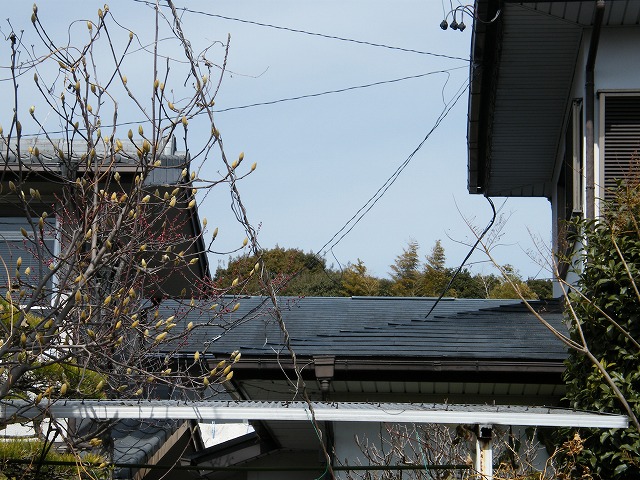 5030t.jpg
