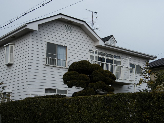 4011t.jpg