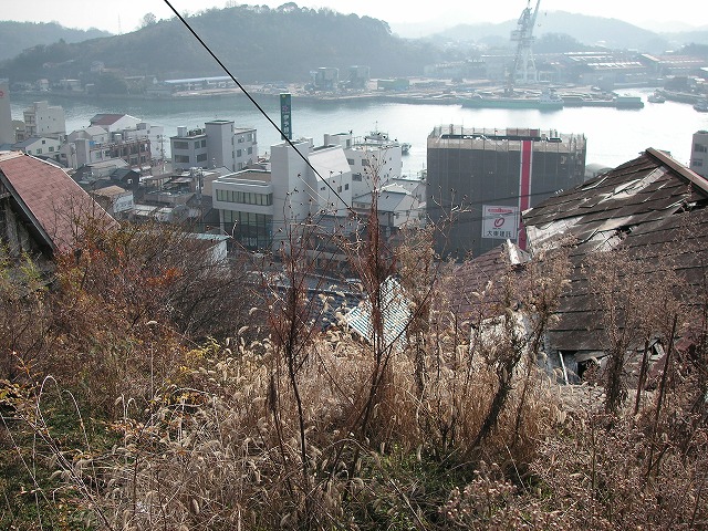 0219s.jpg