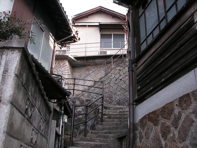 0536s.jpg