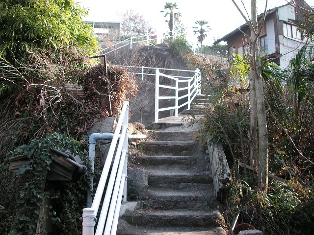 0539s.jpg
