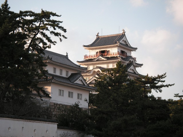 1155s.jpg
