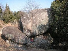 1626s_thumb.jpg