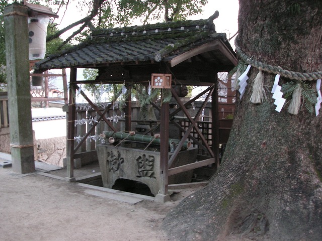 0129s.jpg