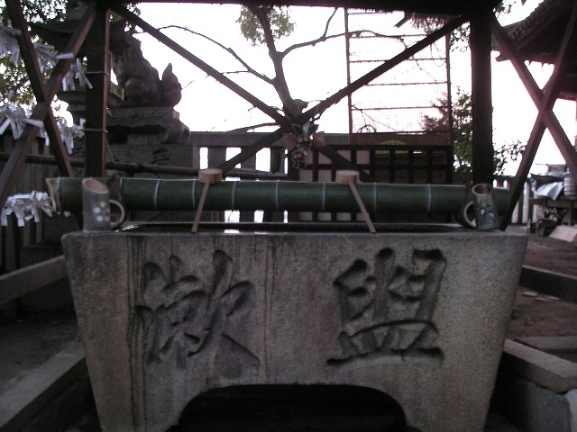 0339s.jpg