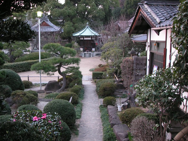 0207s.jpg