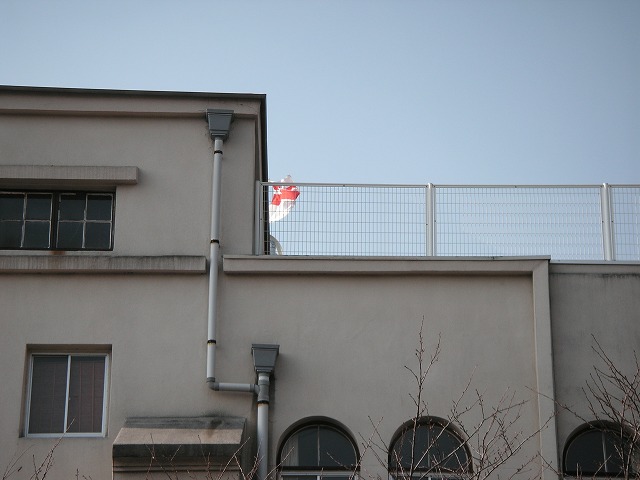 0178s.jpg
