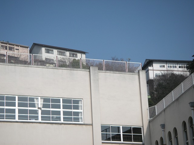 0616s.jpg