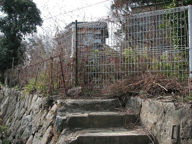 1533s.jpg