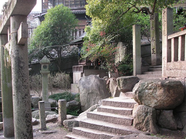 c06s.jpg