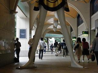 1121s.jpg 800x600 143KB 