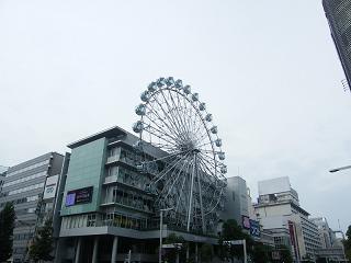 1151s.jpg 800x600 117KB 