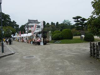 1124s.jpg 800x600 184KB 