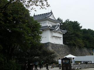 1133s.jpg 800x600 168KB 