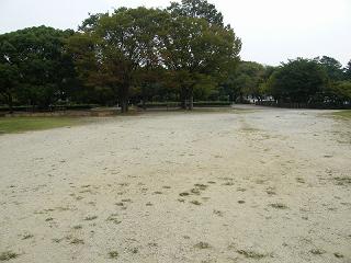 1145s.jpg 800x600 201KB 