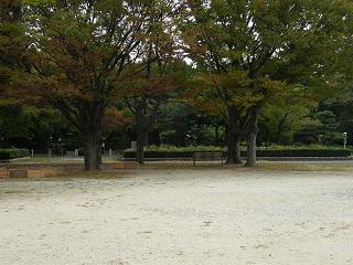 1146s.jpg 800x600 225KB 