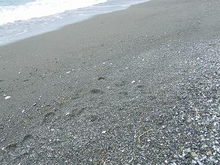 11183s.jpg 800x600 289KB 